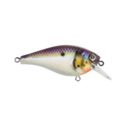 Berkley Squarebull Crankbait