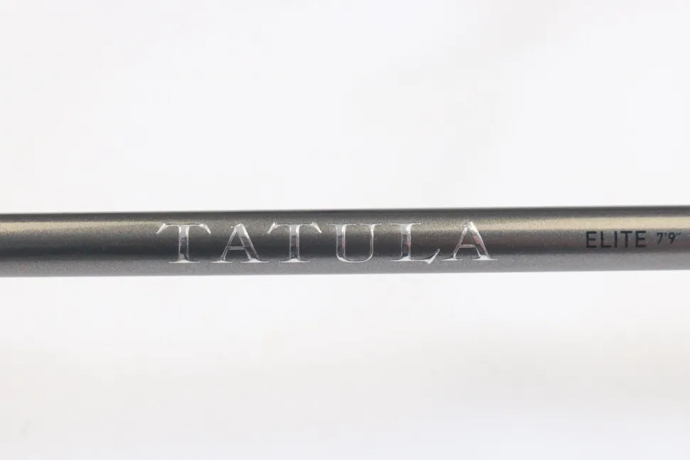 Daiwa Tatula Elite AGS TTEL791HFB-AGS Long Cast Frog 7'9" Heavy - Used