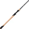 Fenwick World Class Casting Rod Swimbait