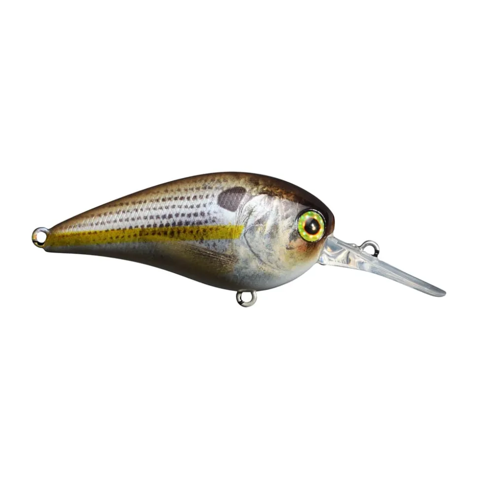 Jackall MC60 MR Crankbait