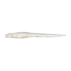 Megabass Hazedong