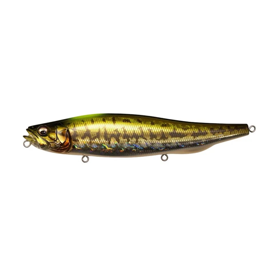 Megabass Megadog-X