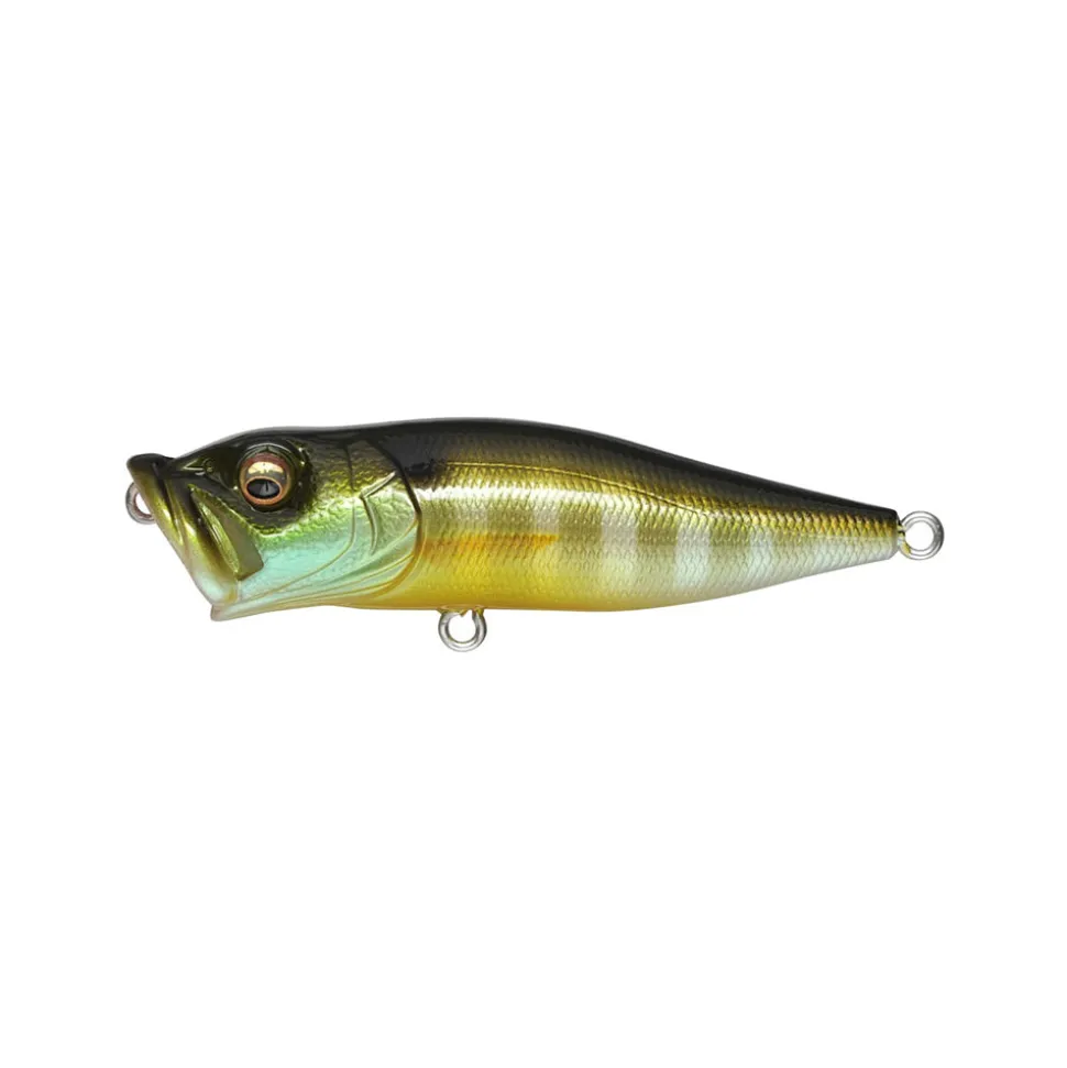 Megabass Pop-X