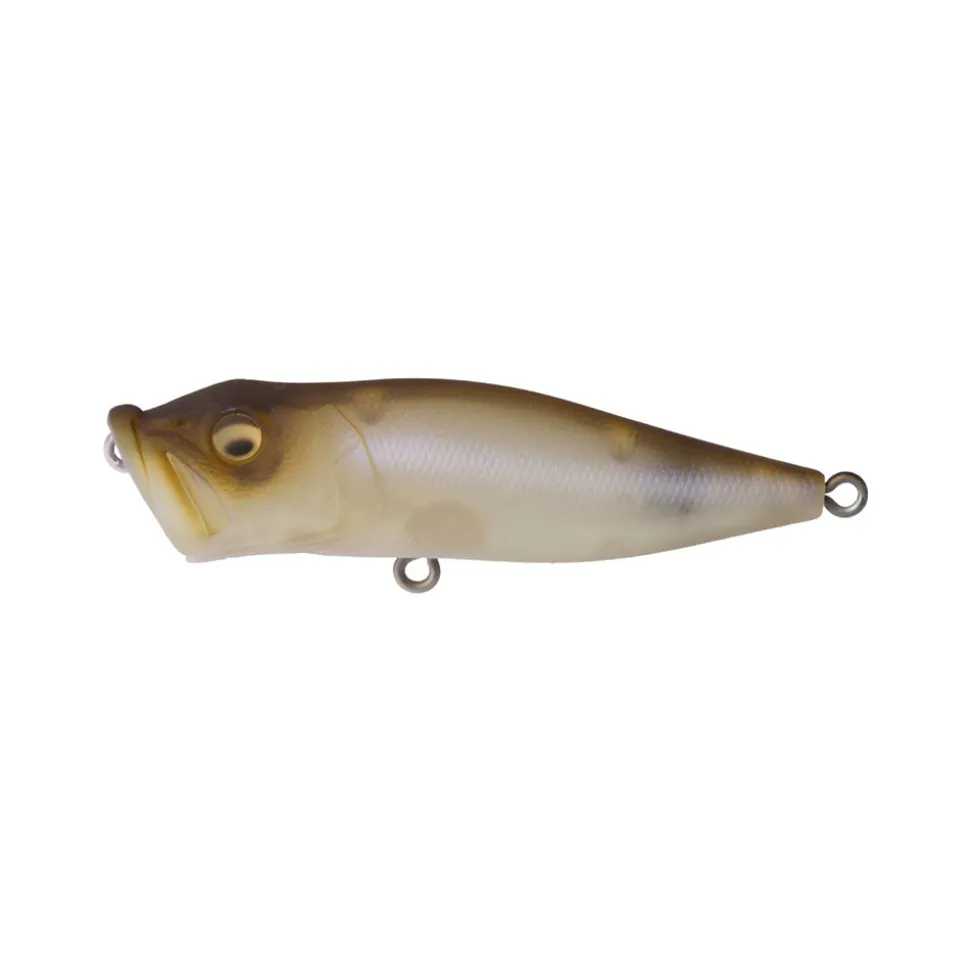 Megabass Pop-X