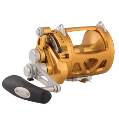 Penn International VI 2 Speed Conventional Reels