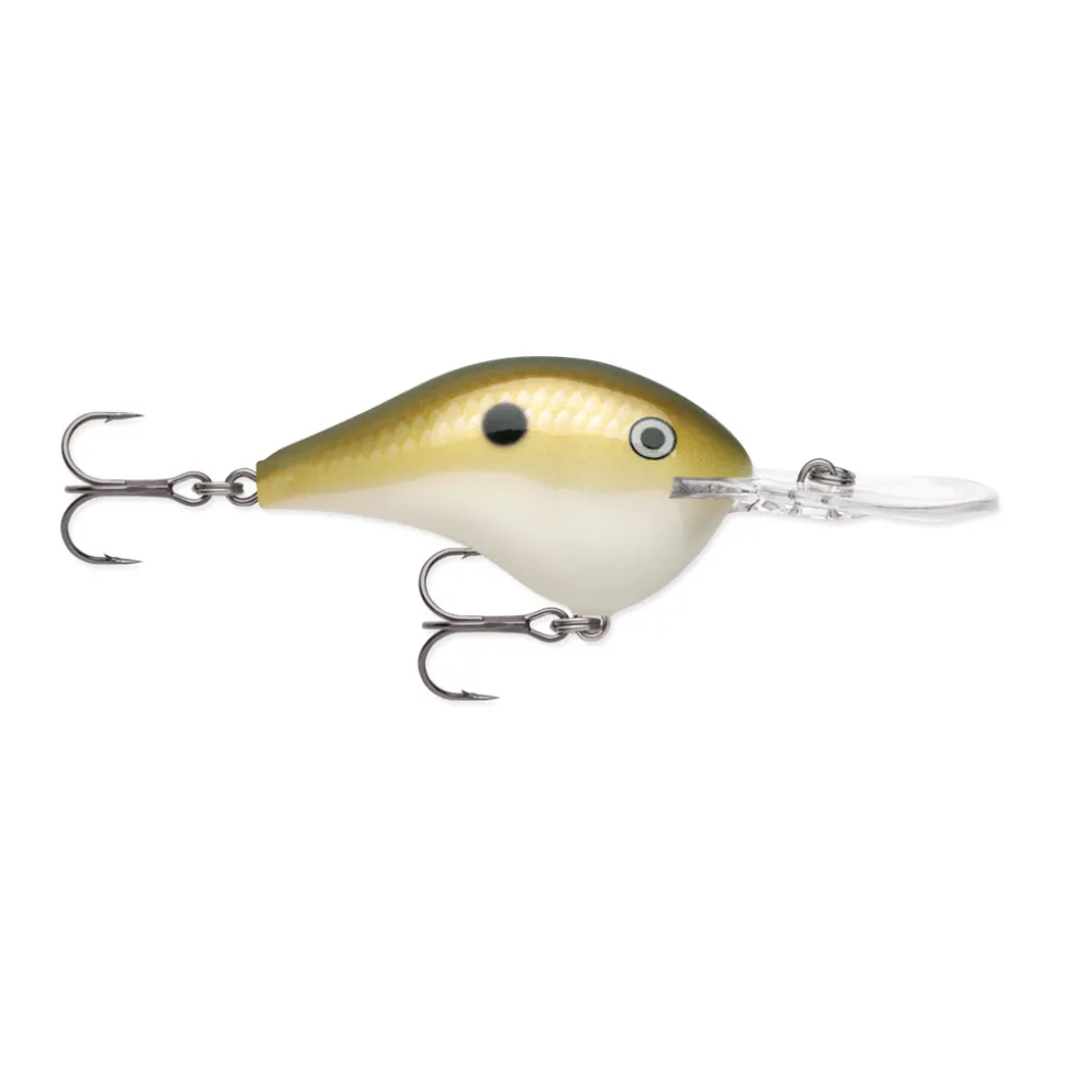 Rapala DT Series Crankbaits
