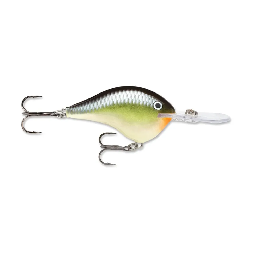 Rapala DT Series Crankbaits