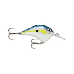 Rapala DT Series Crankbaits