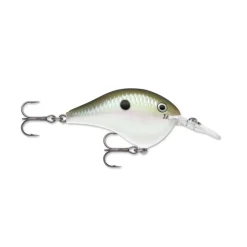 Rapala DT Series Crankbaits
