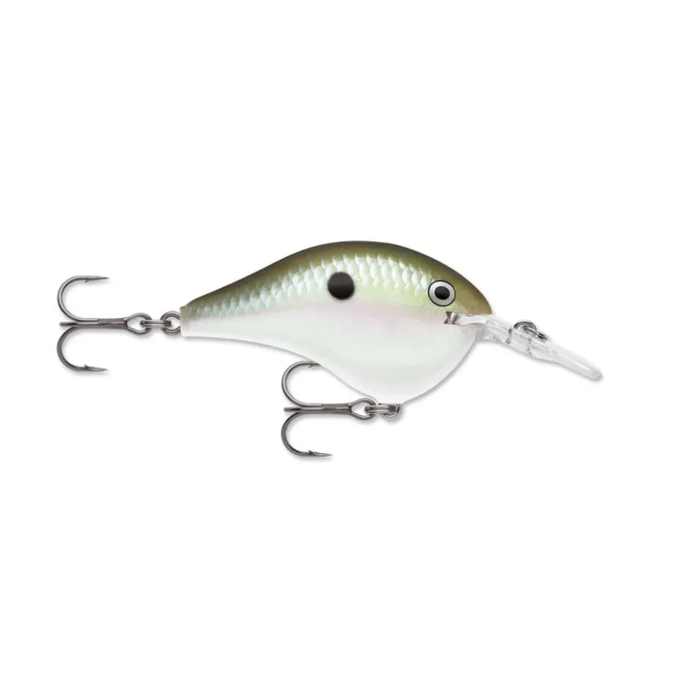 Rapala DT Series Crankbaits