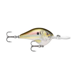Rapala DT Series Crankbaits
