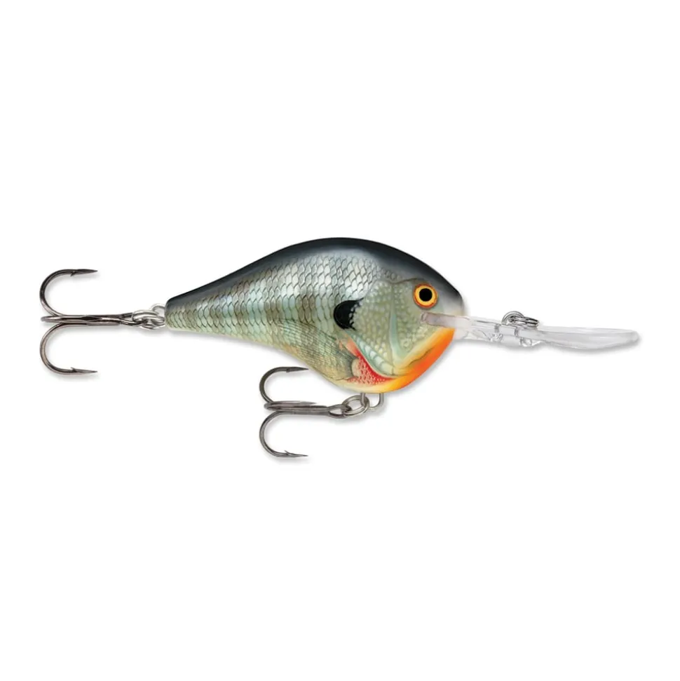 Rapala DT Series Crankbaits
