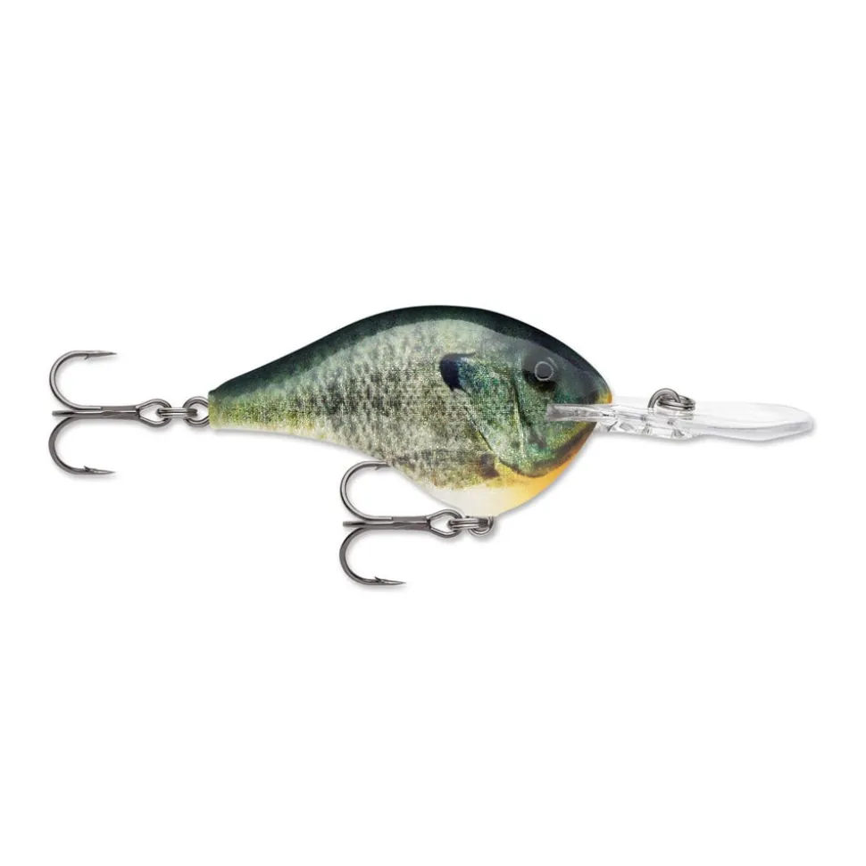 Rapala DT Series Crankbaits