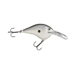 Rapala DT Series Crankbaits