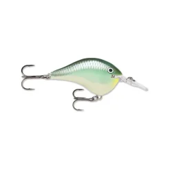 Rapala DT Series Crankbaits