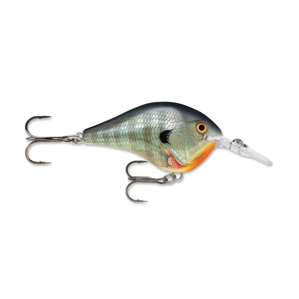 Rapala DT Series Crankbaits
