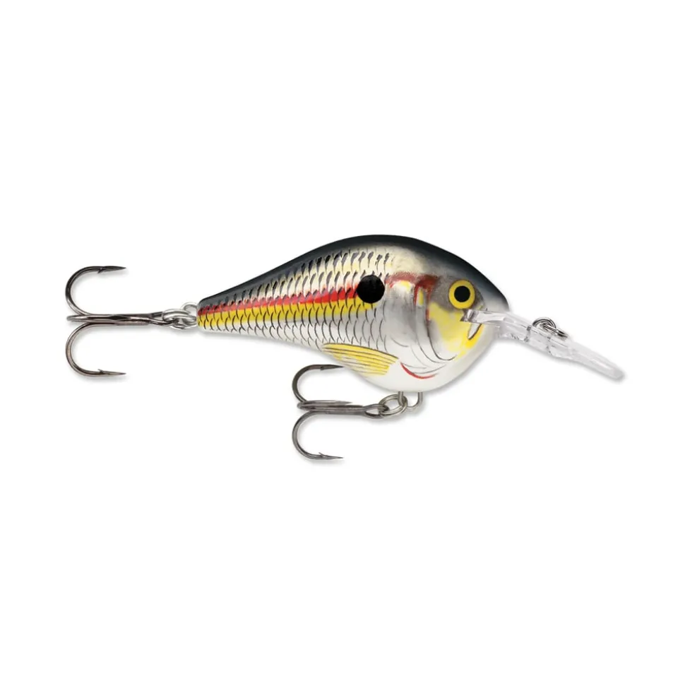 Rapala DT Series Crankbaits