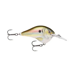Rapala DT Series Crankbaits