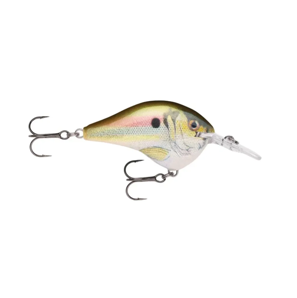 Rapala DT Series Crankbaits