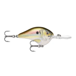 Rapala DT Series Crankbaits