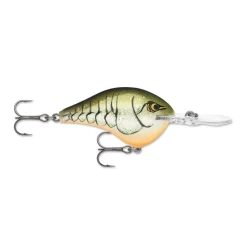 Rapala DT Series Crankbaits