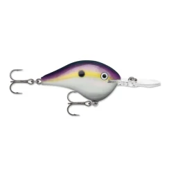 Rapala DT Series Crankbaits