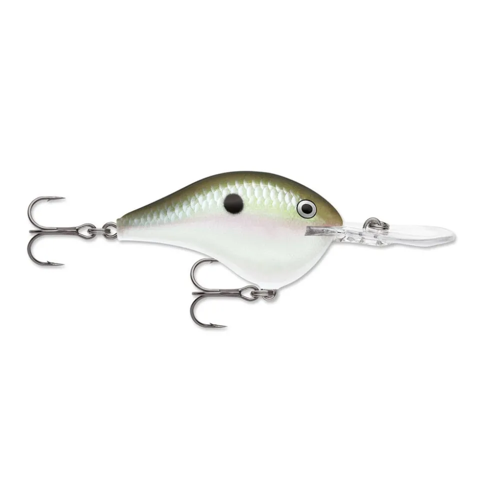 Rapala DT Series Crankbaits