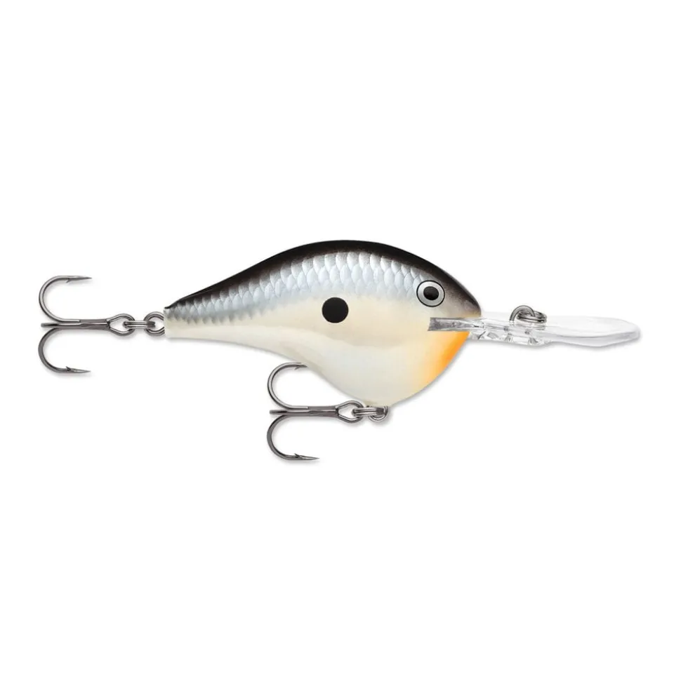 Rapala DT Series Crankbaits