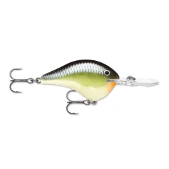 Rapala DT Series Crankbaits