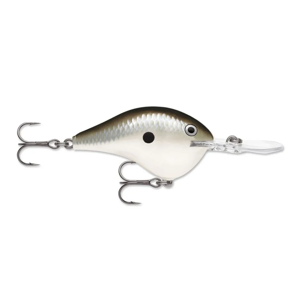 Rapala DT Series Crankbaits
