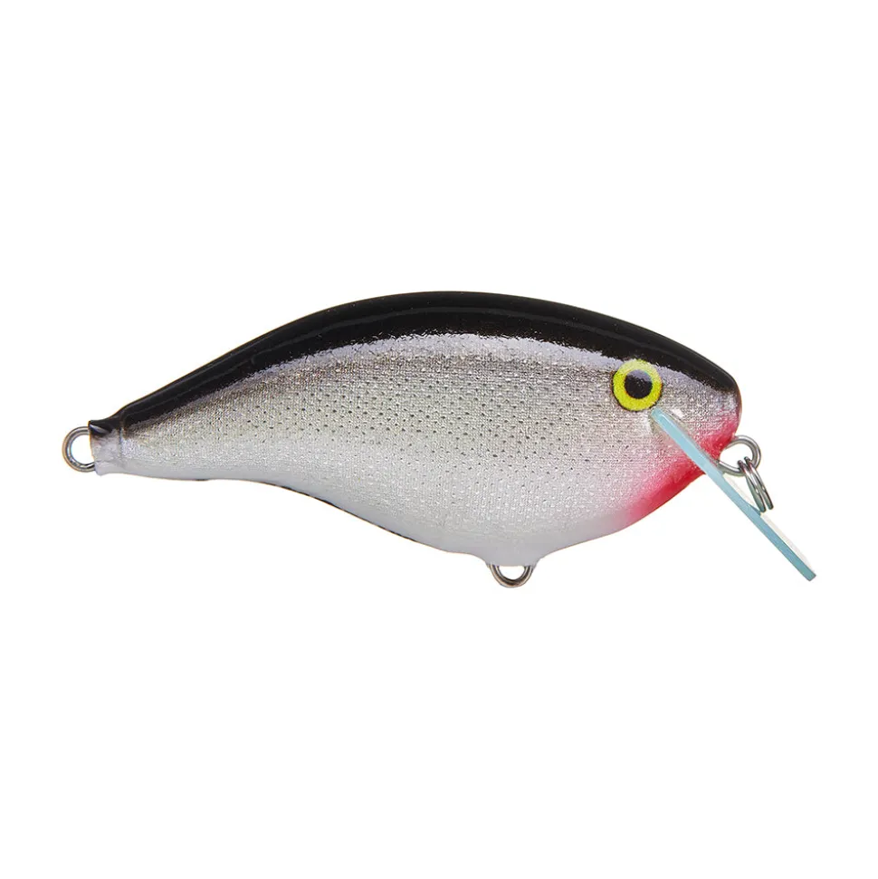 Rapala OG Big Rocco 6 Crankbait