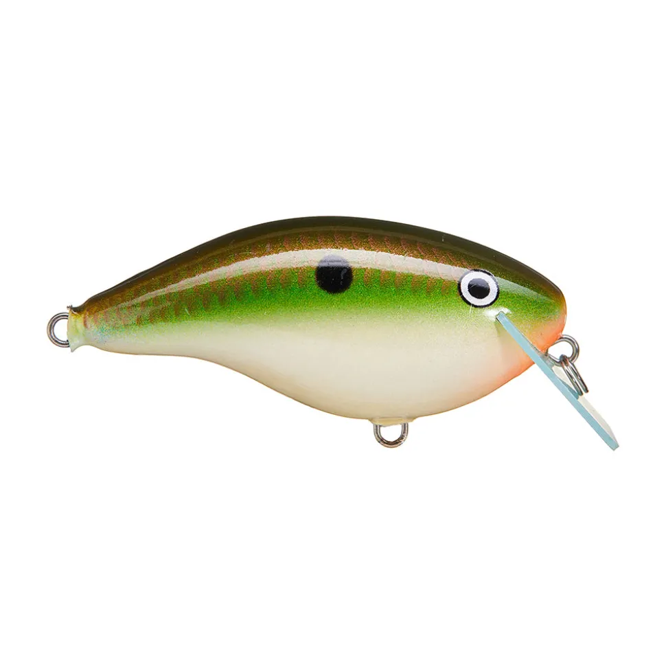 Rapala OG Big Rocco 6 Crankbait