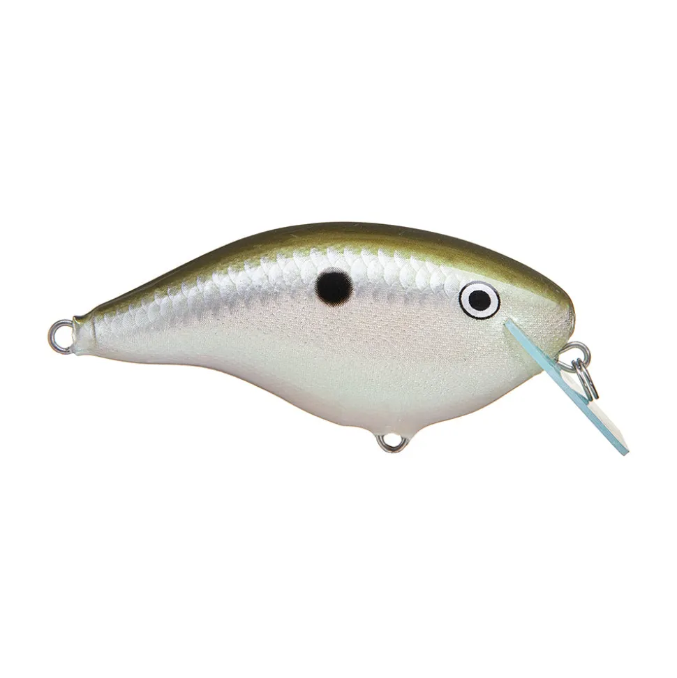 Rapala OG Big Rocco 6 Crankbait
