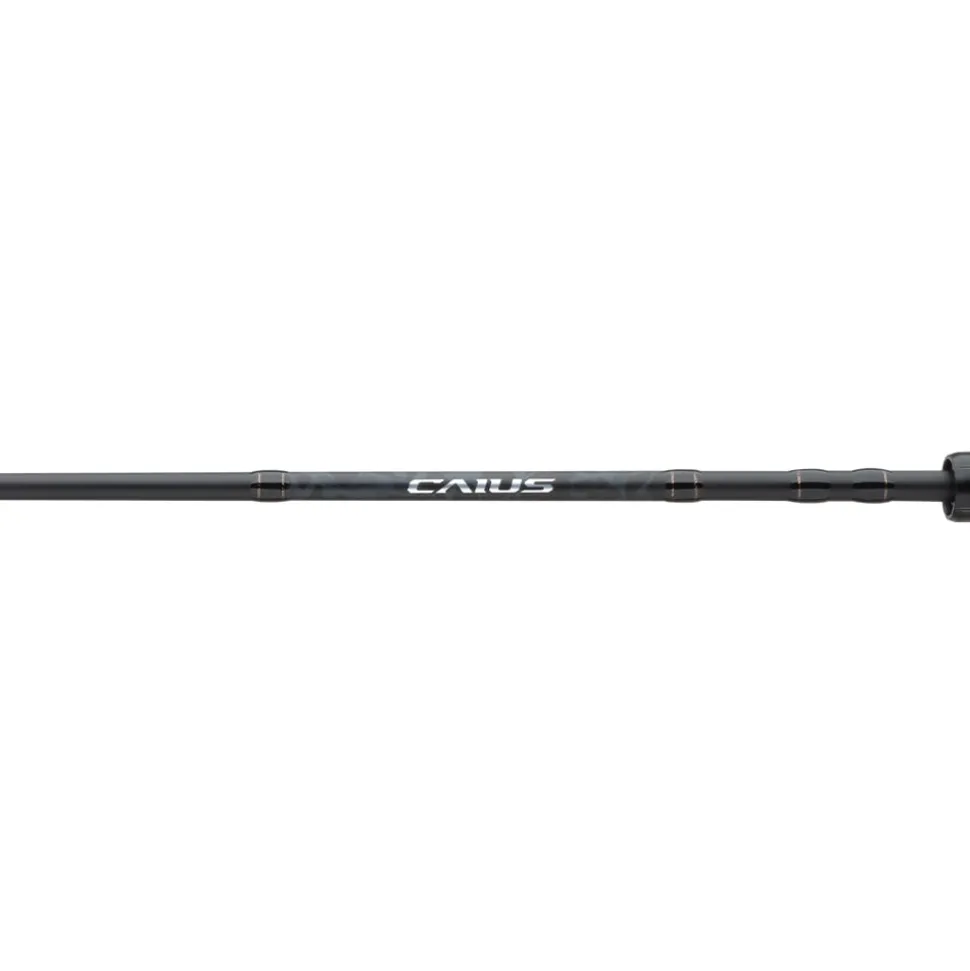 Shimano Caius Casting Combo 7'0" MH 7.2:1 RH | PCIS150HGCCAC70MHB