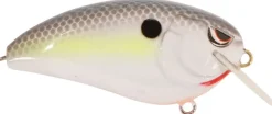 Spro Fat John 60 Crankbait