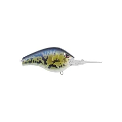 Spro Fat Papa 55 Crankbait