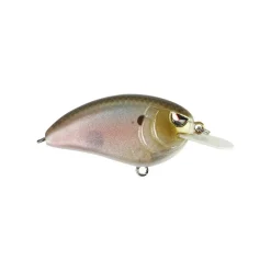 Spro Little John 50 Crankbaits