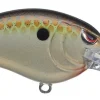 Spro Little John MD Type R 50 Crankbaits