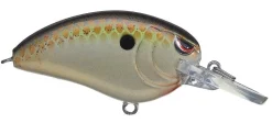 Spro Little John MD Type R 50 Crankbaits