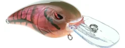 Spro RkCrawler 50 Crankbaits