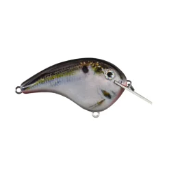 Strike King Chick Magnet Flatside Crankbaits