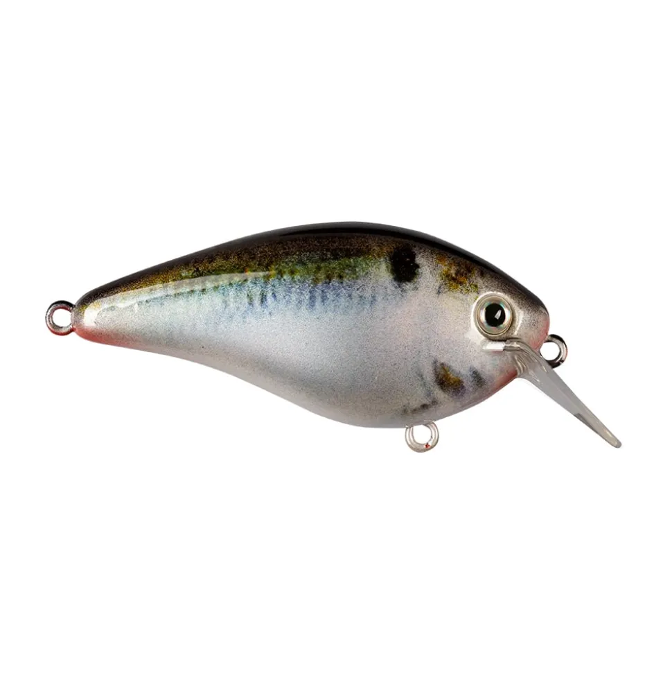 Strike King KVD 1.5 Hard Knock Squarebill Crankbait