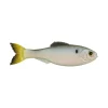 6th Sense Panorama Baitfish