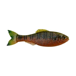 6th Sense Panorama Baitfish