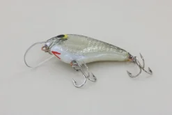 WE Baits #2 Black Back