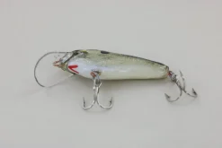WE Baits #3 Black Back
