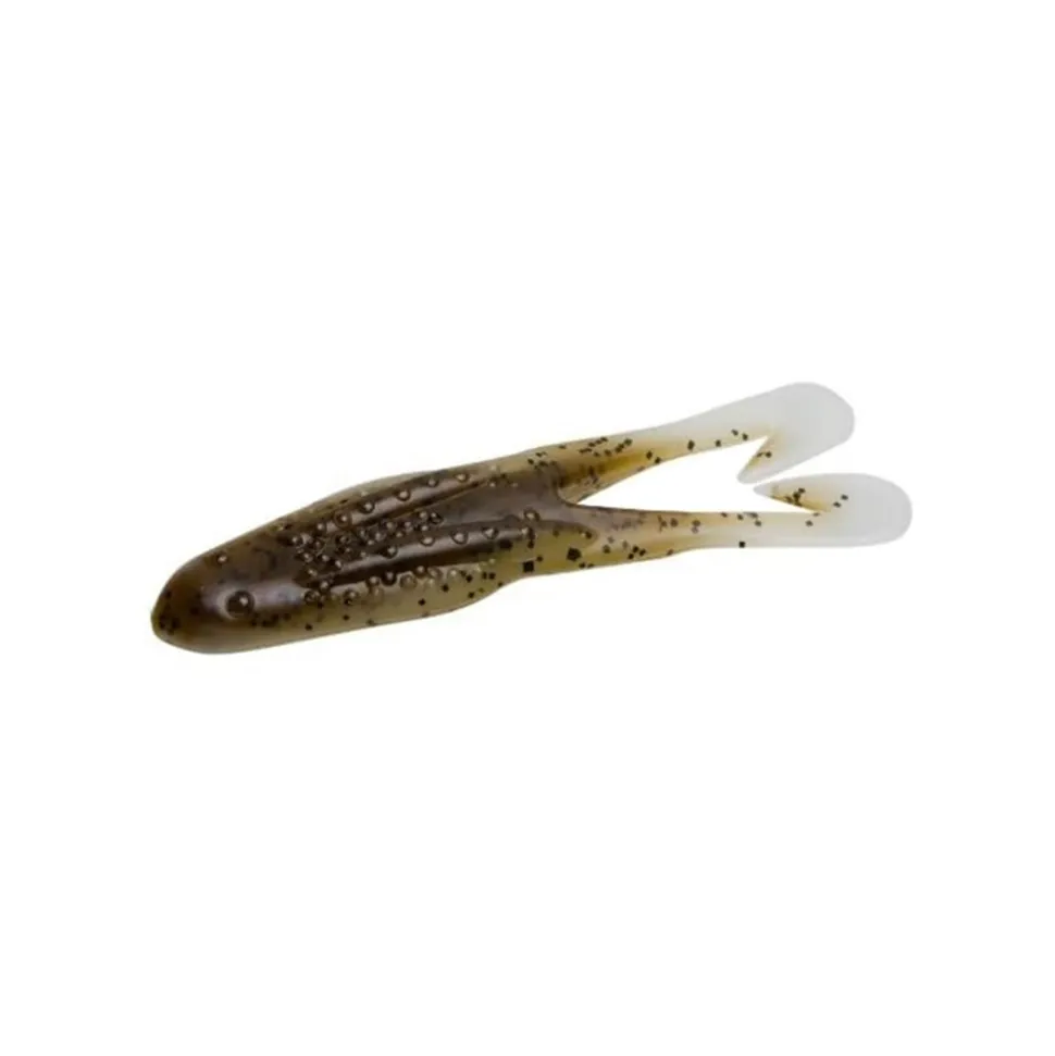Zoom Horny Toad